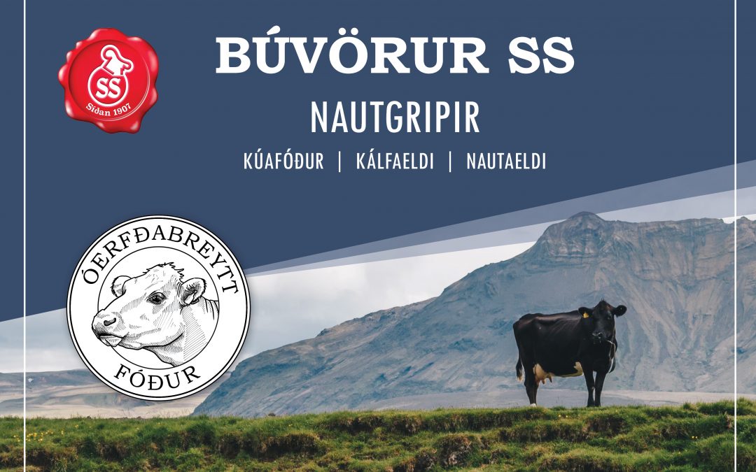 Nýr vörubæklingur – Nautgripir 2022